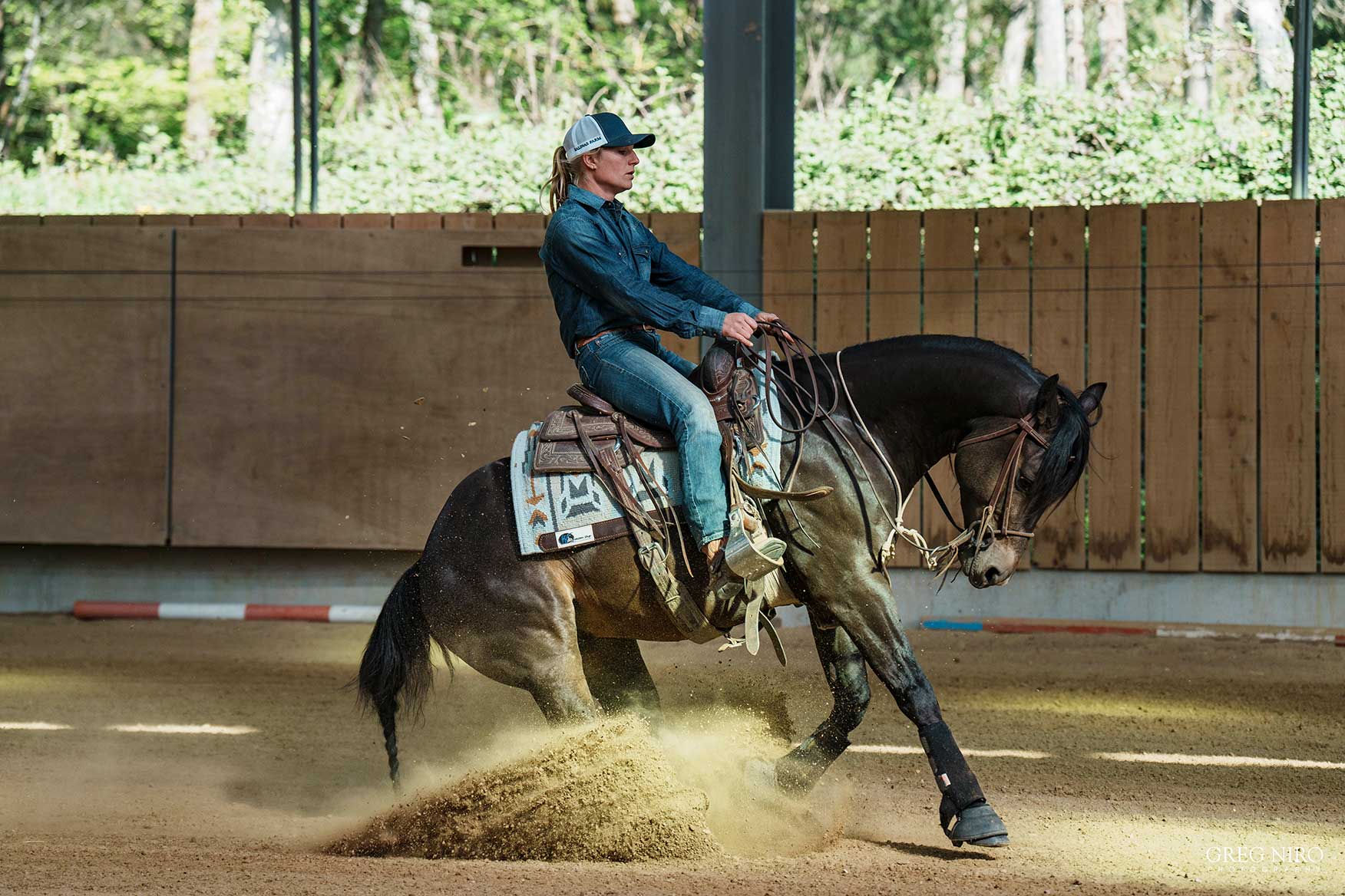 entrainement chevaux