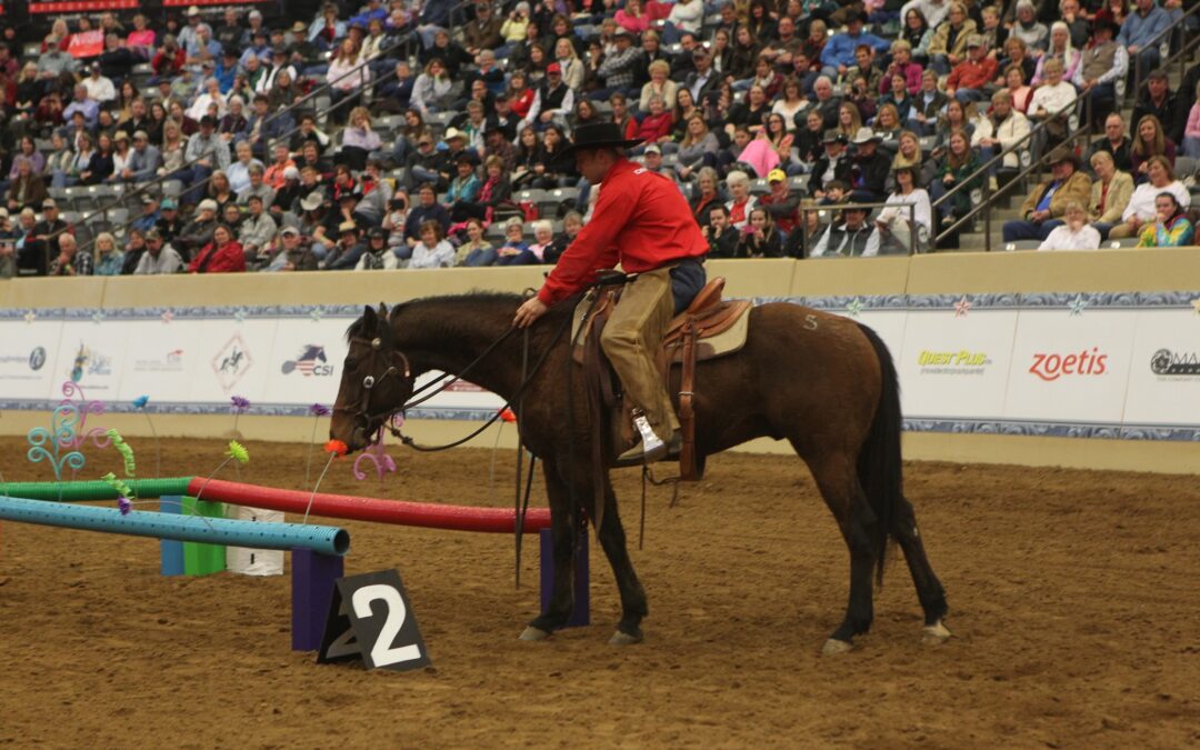 Stage Trec -Trail – Équitation de travail