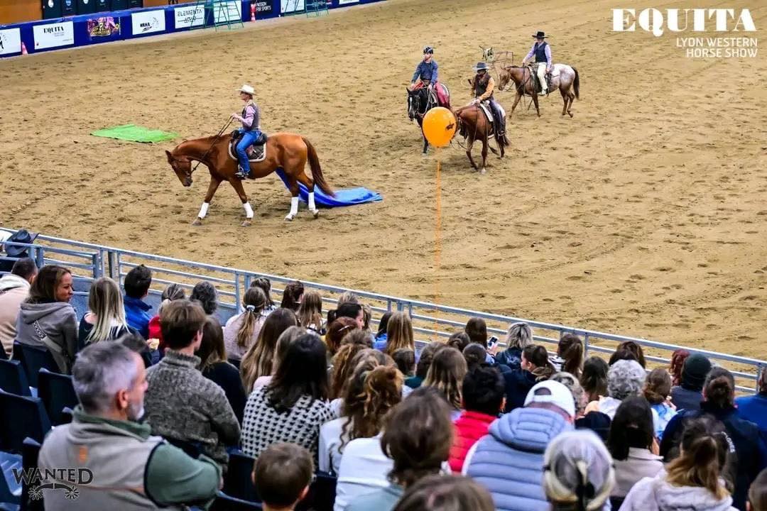 EQUITALYON 2024, DÉMONSTRATIONS EQUITATION WESTERN